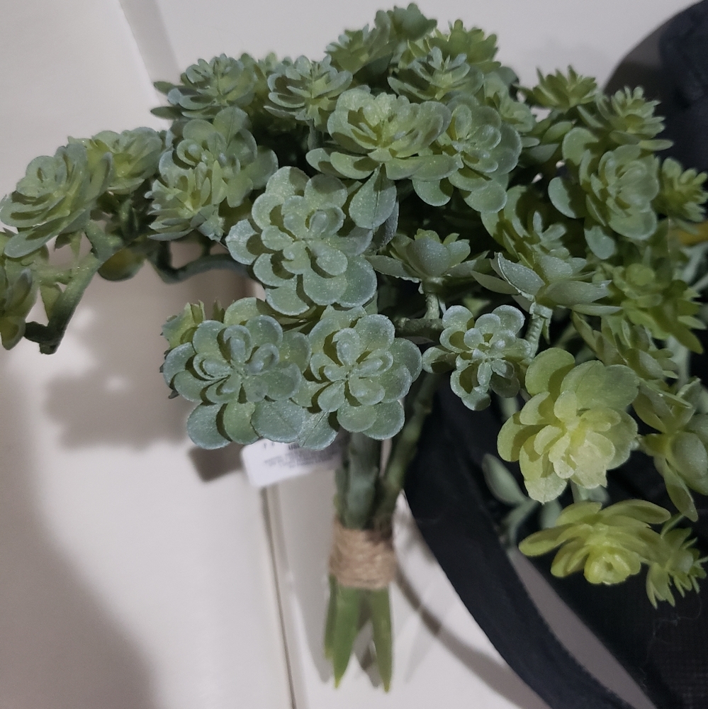 NWT Pottery Barn Faux Succulent Plant